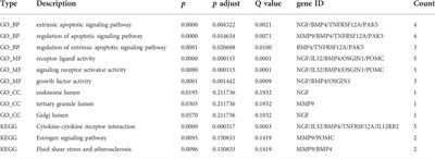 A novel immune-related radioresistant lncRNAs signature based model for risk stratification and prognosis prediction in esophageal squamous cell carcinoma